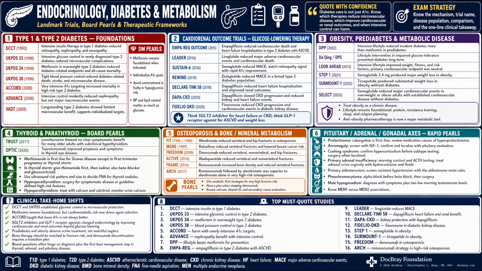 Endocrinology & Diabetes landmark-trials infographic — panels of key trials, each with a one-line clinical takeaway.